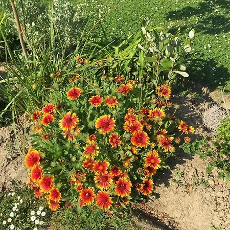 A La Birochere D Hotes Classee 3 Cles Et Accueil Velo 3* Pornic