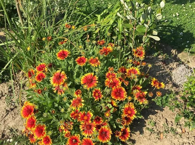 A La Birochere D Hotes Classee 3 Cles Et Accueil Velo 3* Pornic